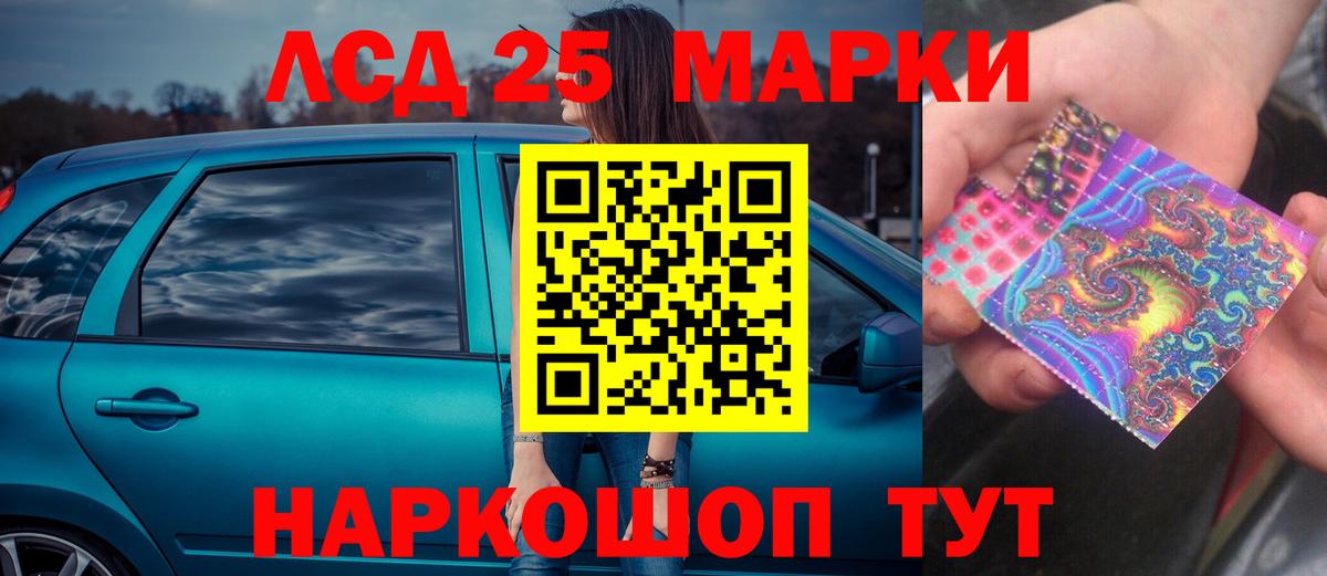 МЕФ Людиново